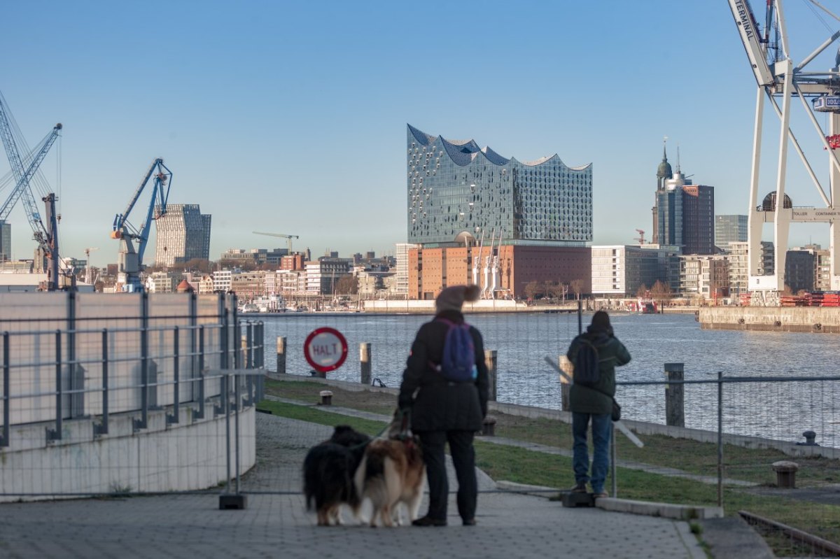 Hund Hamburg