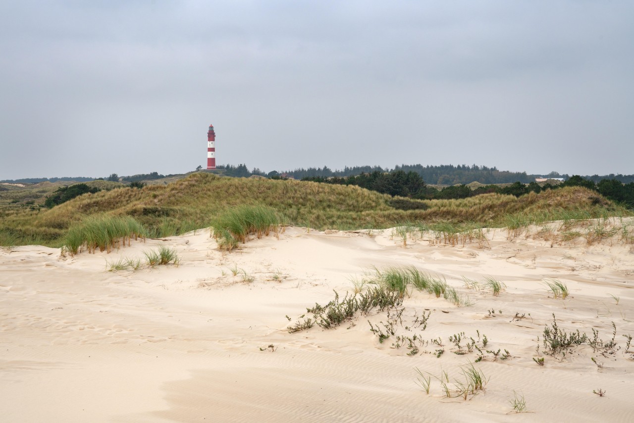 Amrum ist eine Insel in der Nordsee. 