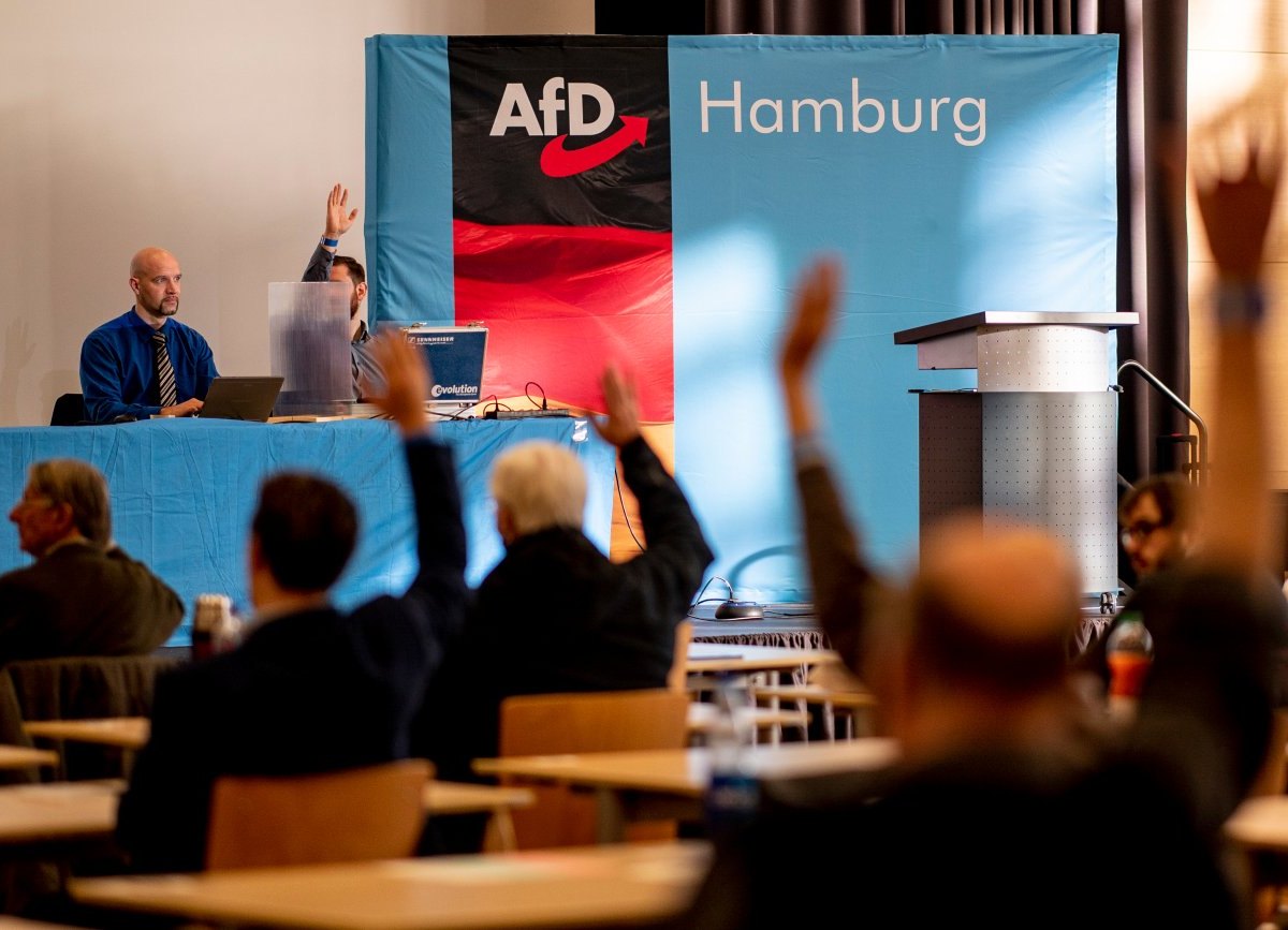 Bundestagswahl Hamburg AfD.jpg