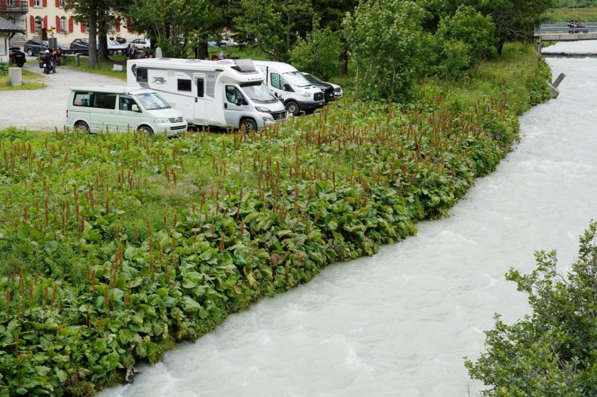 Camping Wohnmobil Schleswig-Holstein Kiel Parkplätze Übernachtungen Deutschland Berlin Trend Urlaub