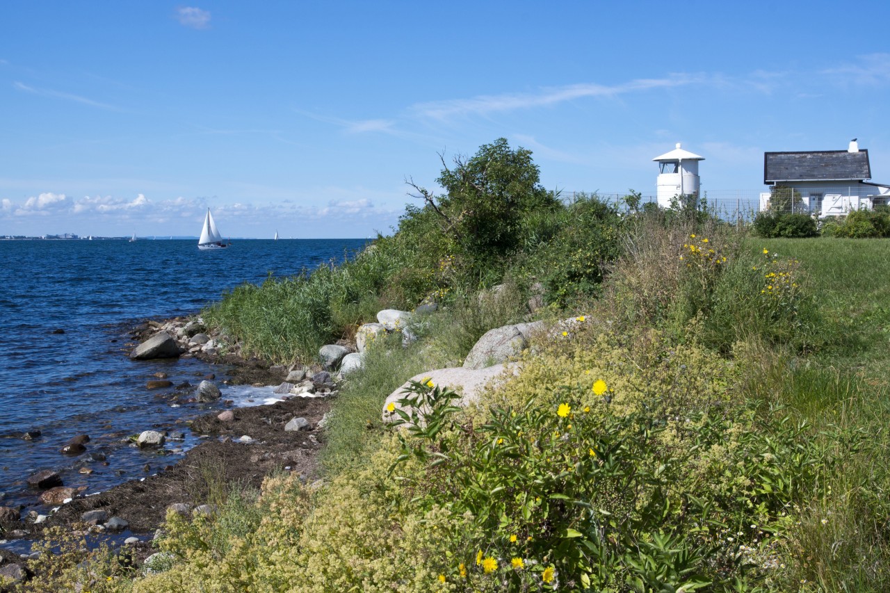 Der Leuchtturm Strukkamphuk auf Fehmarn – im Südwesten der Insel steht auch ein beliebtes Café, das derzeit mit einem Problem zu kämpfen hat. 