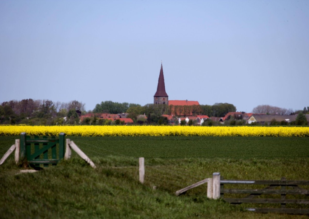 Fehmarn Sylt Petersdorf Immobilienpreise Facebook Quadratmeter