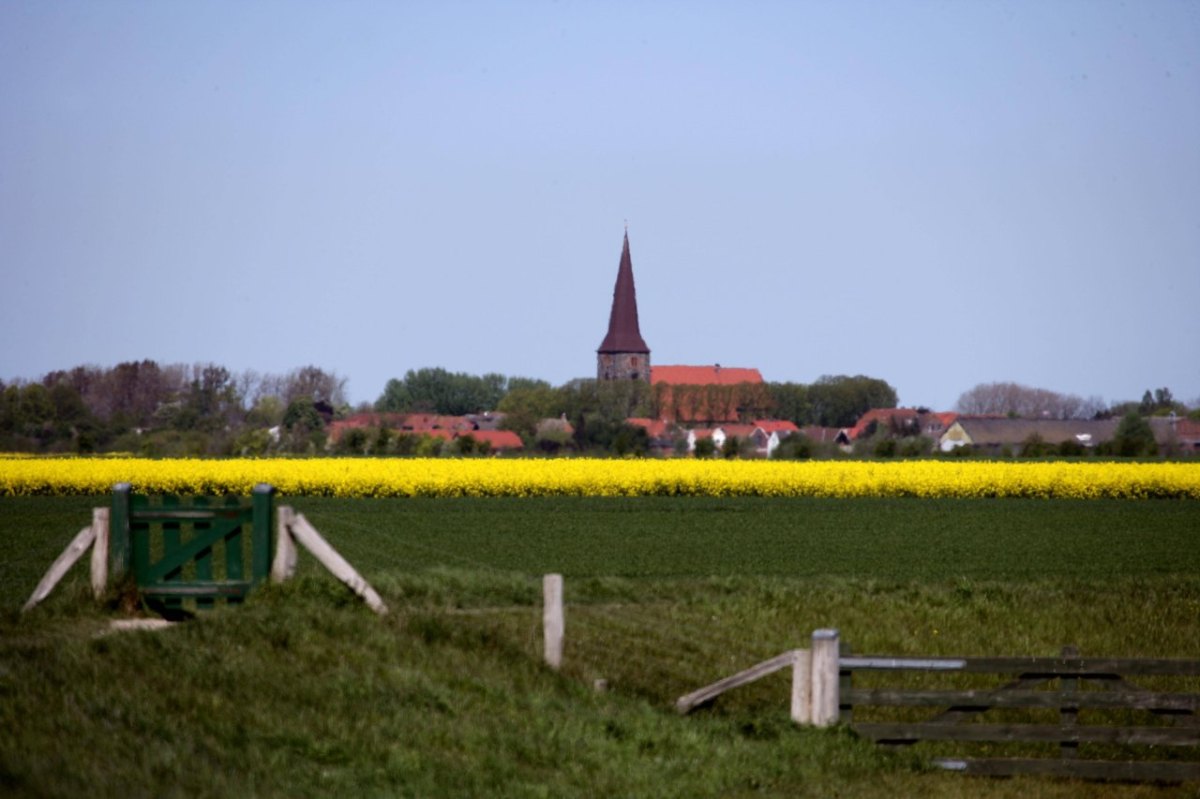 Fehmarn Sylt Petersdorf Immobilienpreise Facebook Quadratmeter