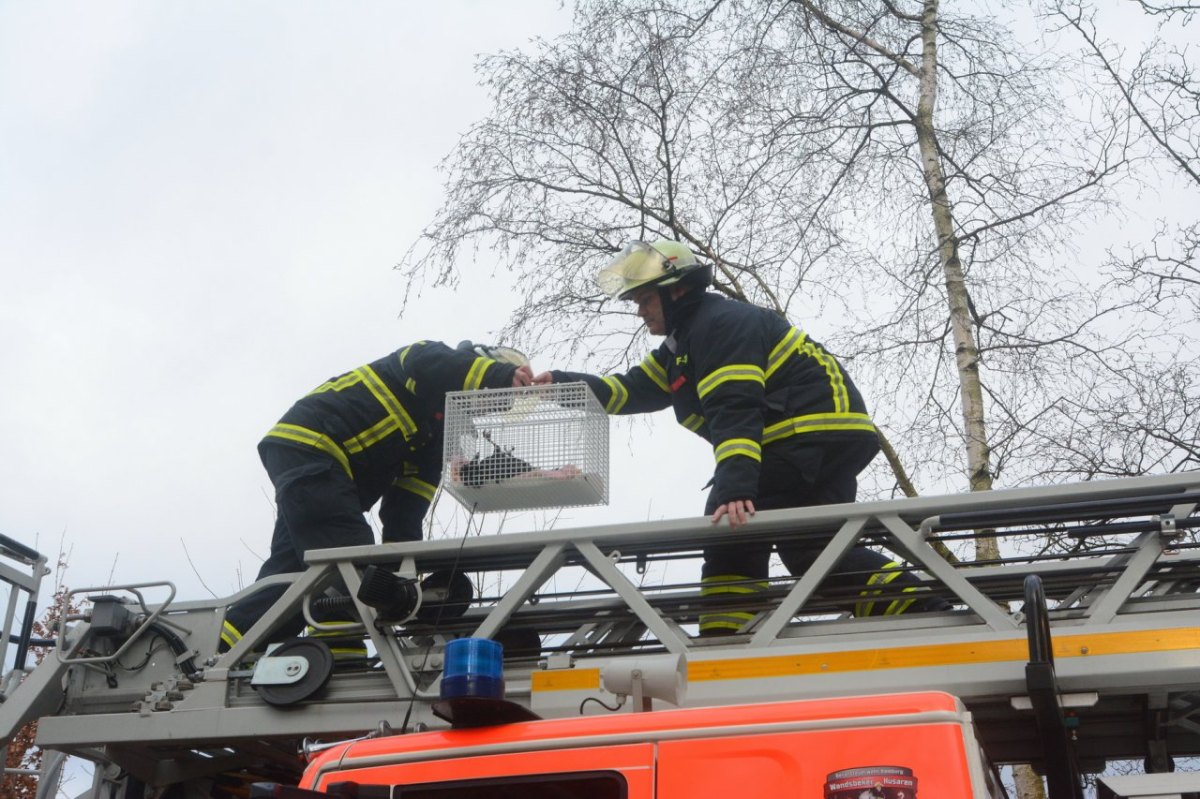 Feuerwehr Jenfeld