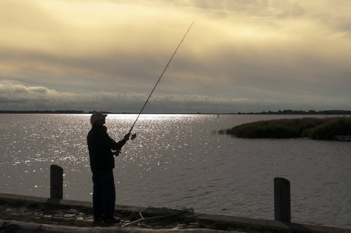 Flensburg Angler.jpg