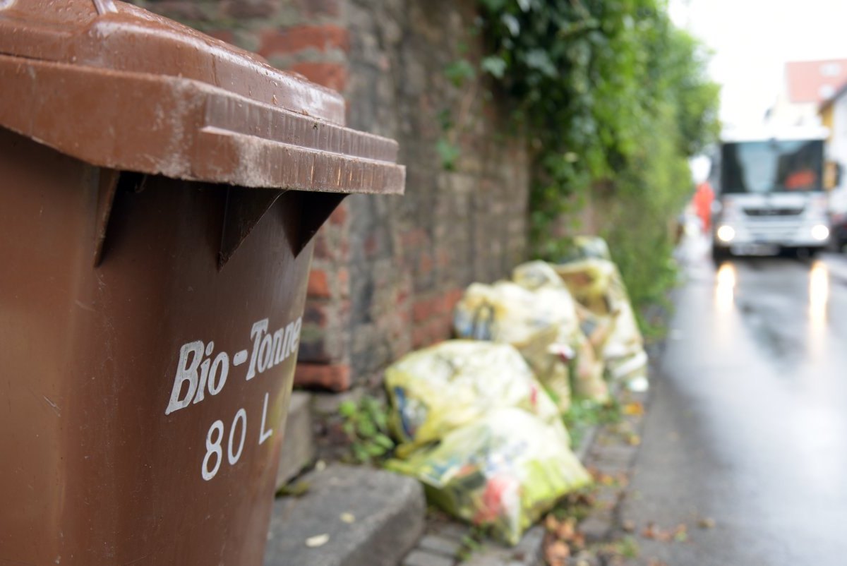 Flensburg Müllabfuhr Schleswig Biotonne Plastiktüte Entsorgung