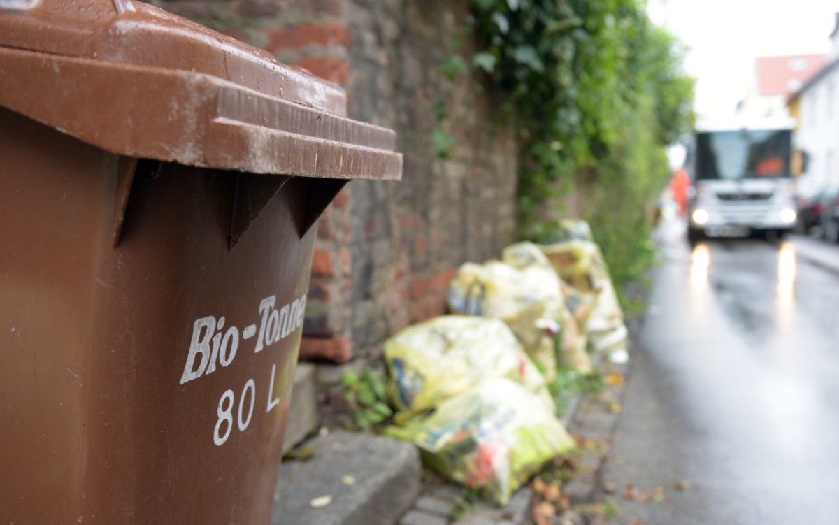 Flensburg Müllabfuhr Schleswig Biotonne Plastiktüte Entsorgung