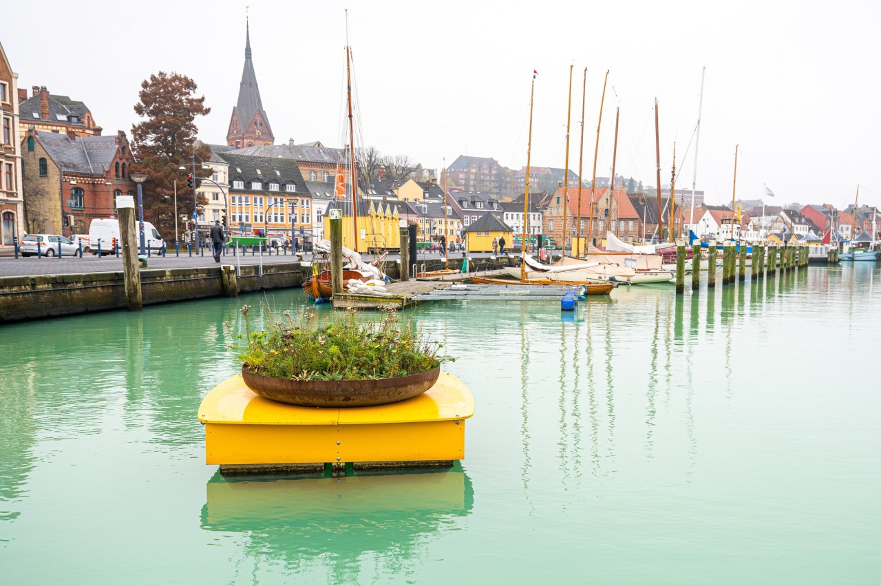 Das Wasser in der Flensburger Förde an der Ostsee strahlte am Mittwoch in türkisen Farben.