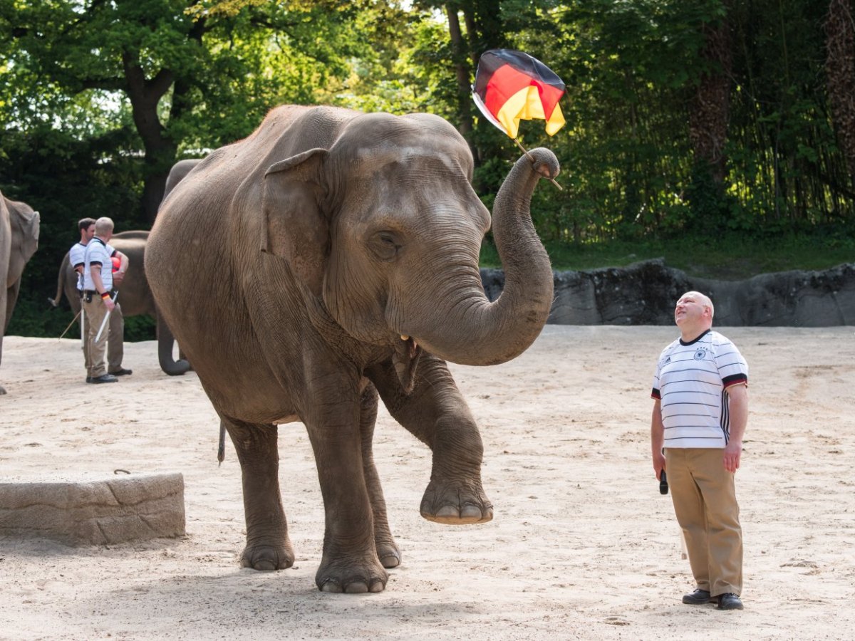 Hamburg Hagenbeck.jpg