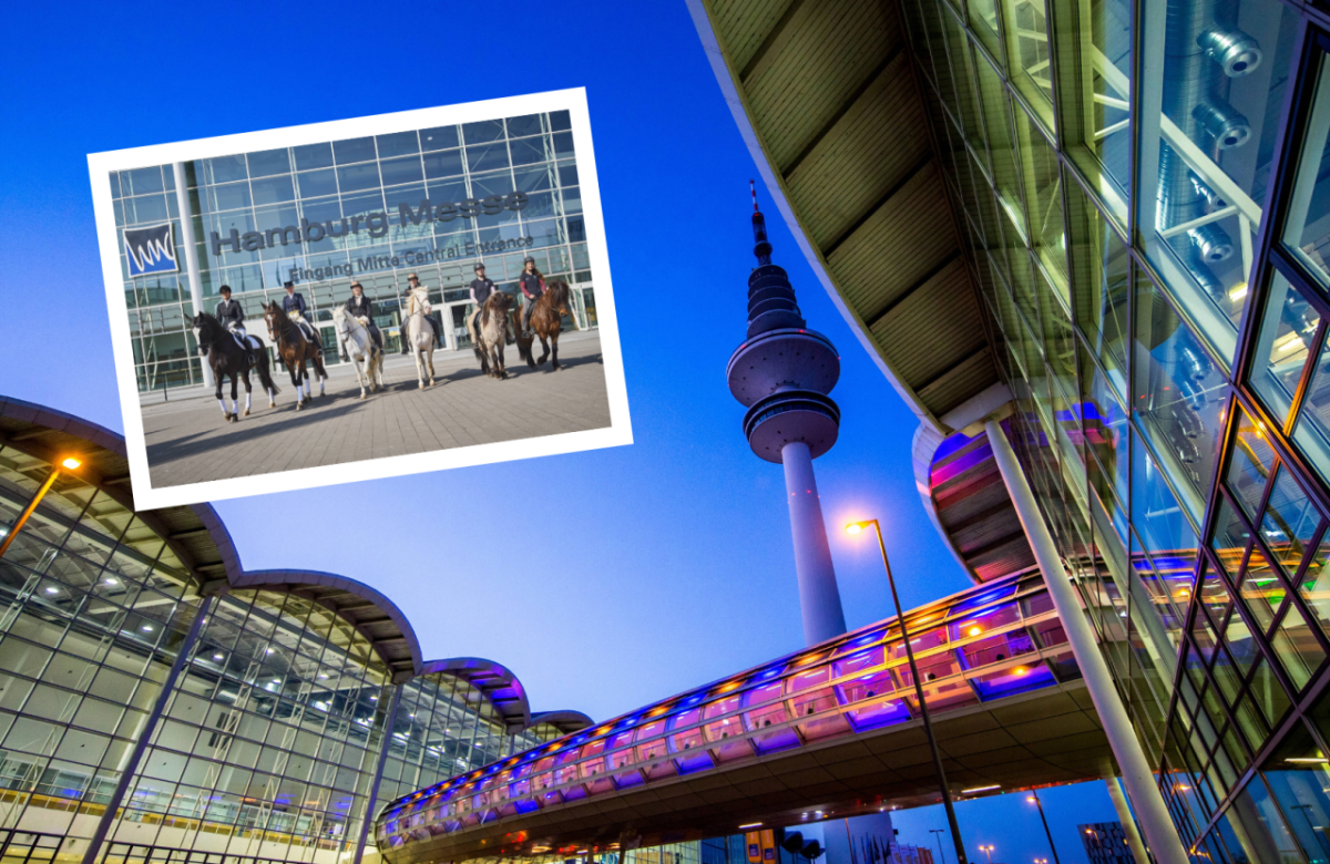 Hamburg Hansepferd Messe Absage Neumünster Hannover Corona Congress