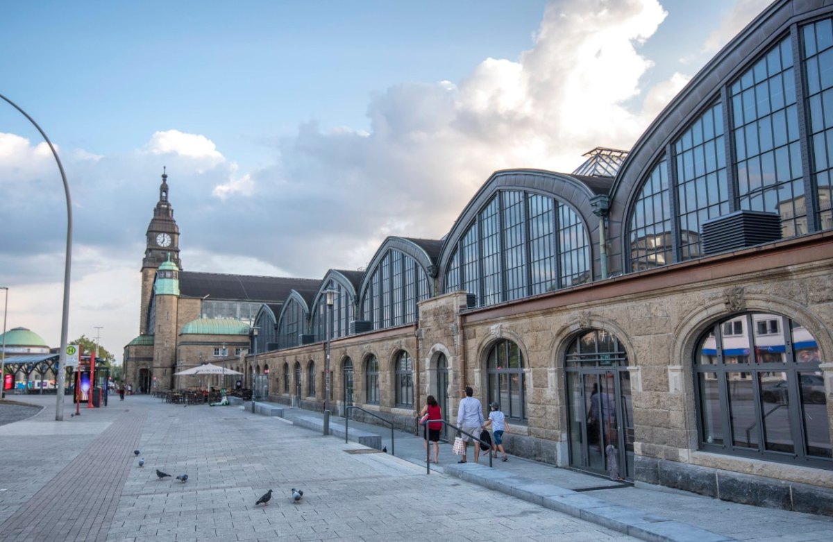 Hamburg Hauptbahnhof Attacke Islamfeindlich.jpg