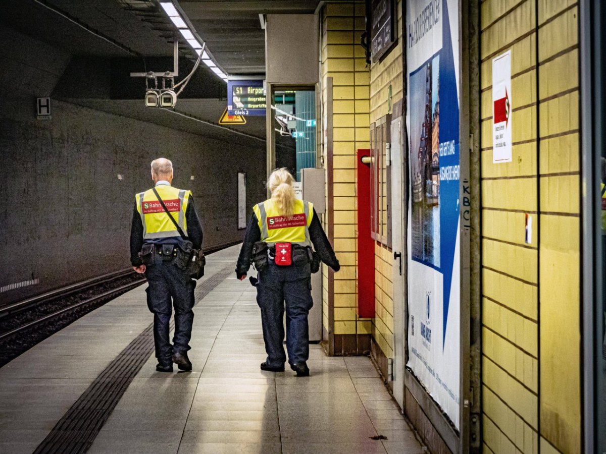 Hamburg-S-Bahn.jpg