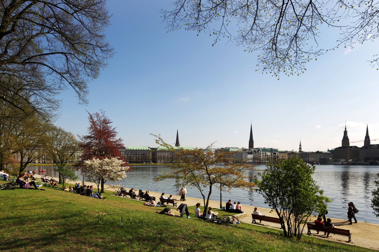 Ein Tier kommt nach Hamburg zurück, das letztes Jahr zum ersten Mal nach hundert Jahren wieder gesichtet worden ist.