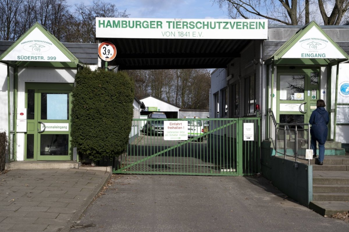 Hamburg Tierheim Ferien