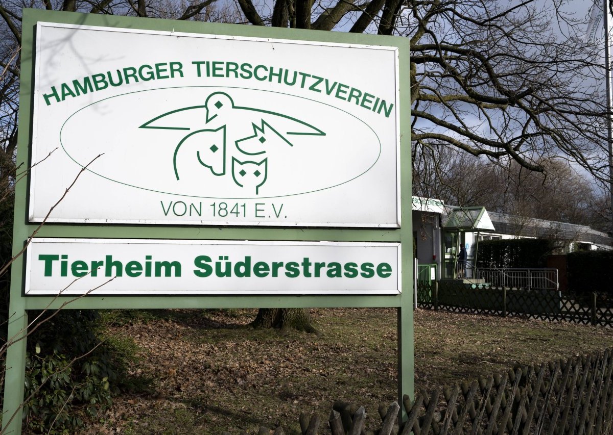 Hamburger Tierschutzverein.jpg