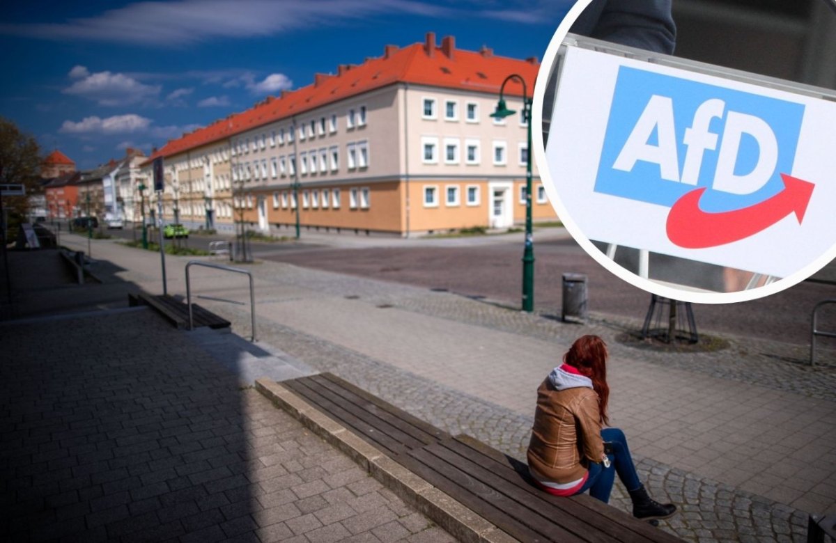 Landtagswahl MV_AfD.jpg