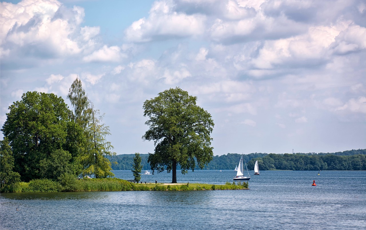 Angesichts steigender Wassertemperaturen hat das Gesundheitsamt an der Mecklenburgischen Seenplatte vor dem Baden in flachen Gewässern mit vielen Wasservögeln gewarnt.