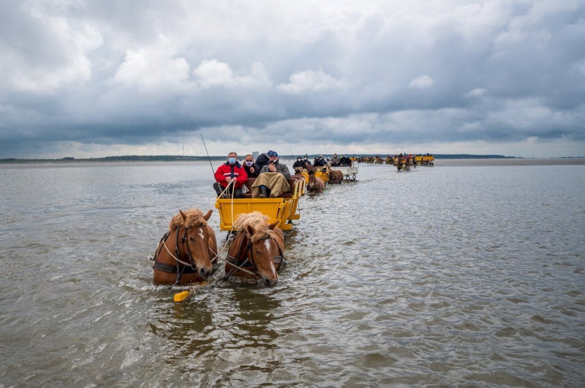 Meer Nordsee Neuwerk Hamburg Cuxhaven