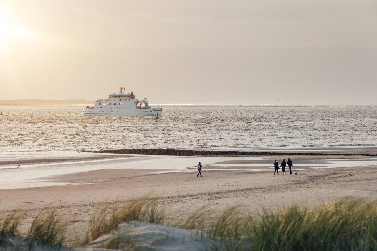 An der Nordsee kämpfen viele Küstenorte mit diesem Problem, das sich auch auf Urlauber auswirkt.