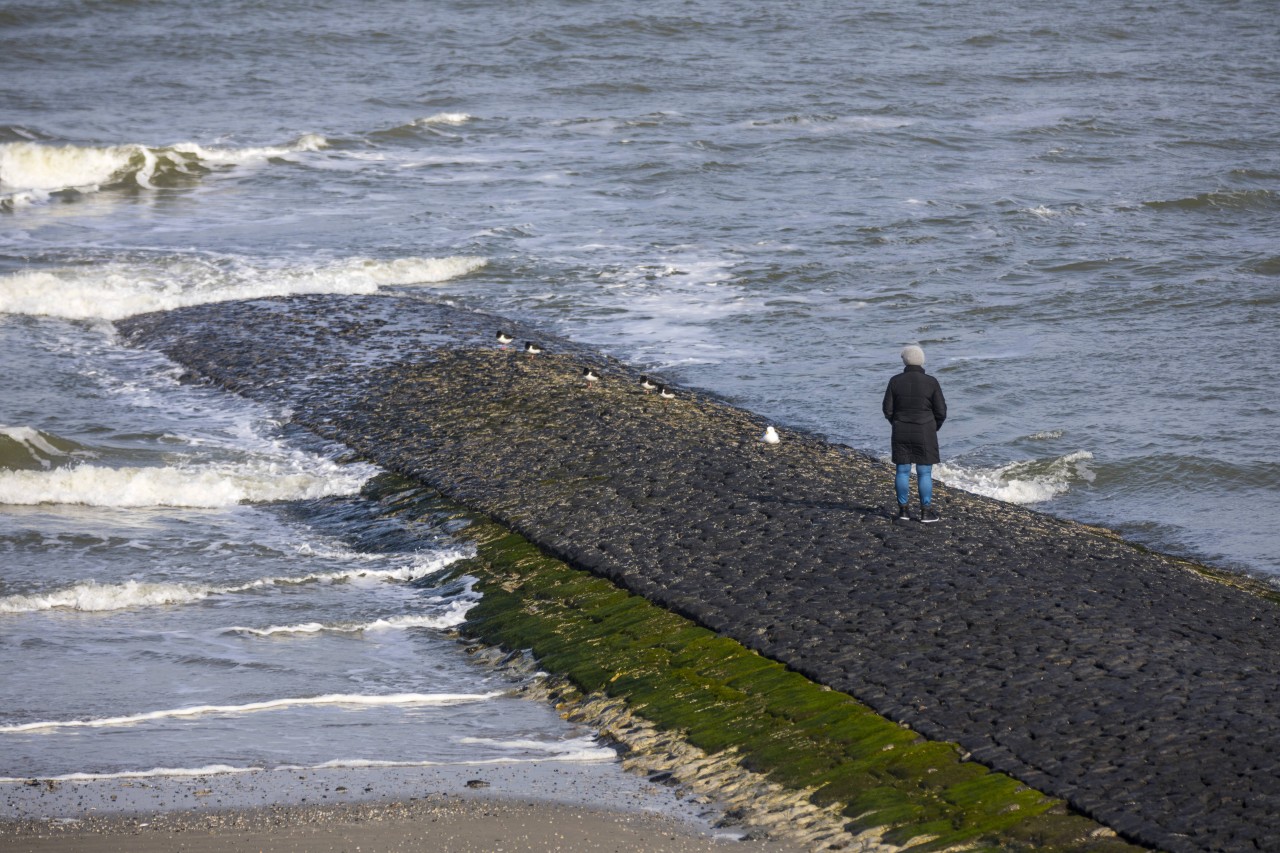 Noch einmal Norderney sehen – das war der große Wunsch einer Frau (Symbolbild).