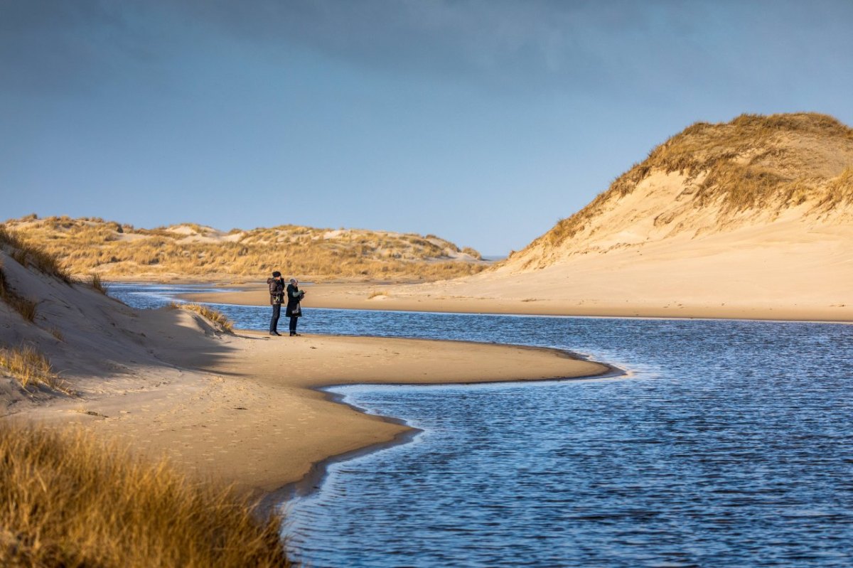 Norderney Nordsee Düne.jpg