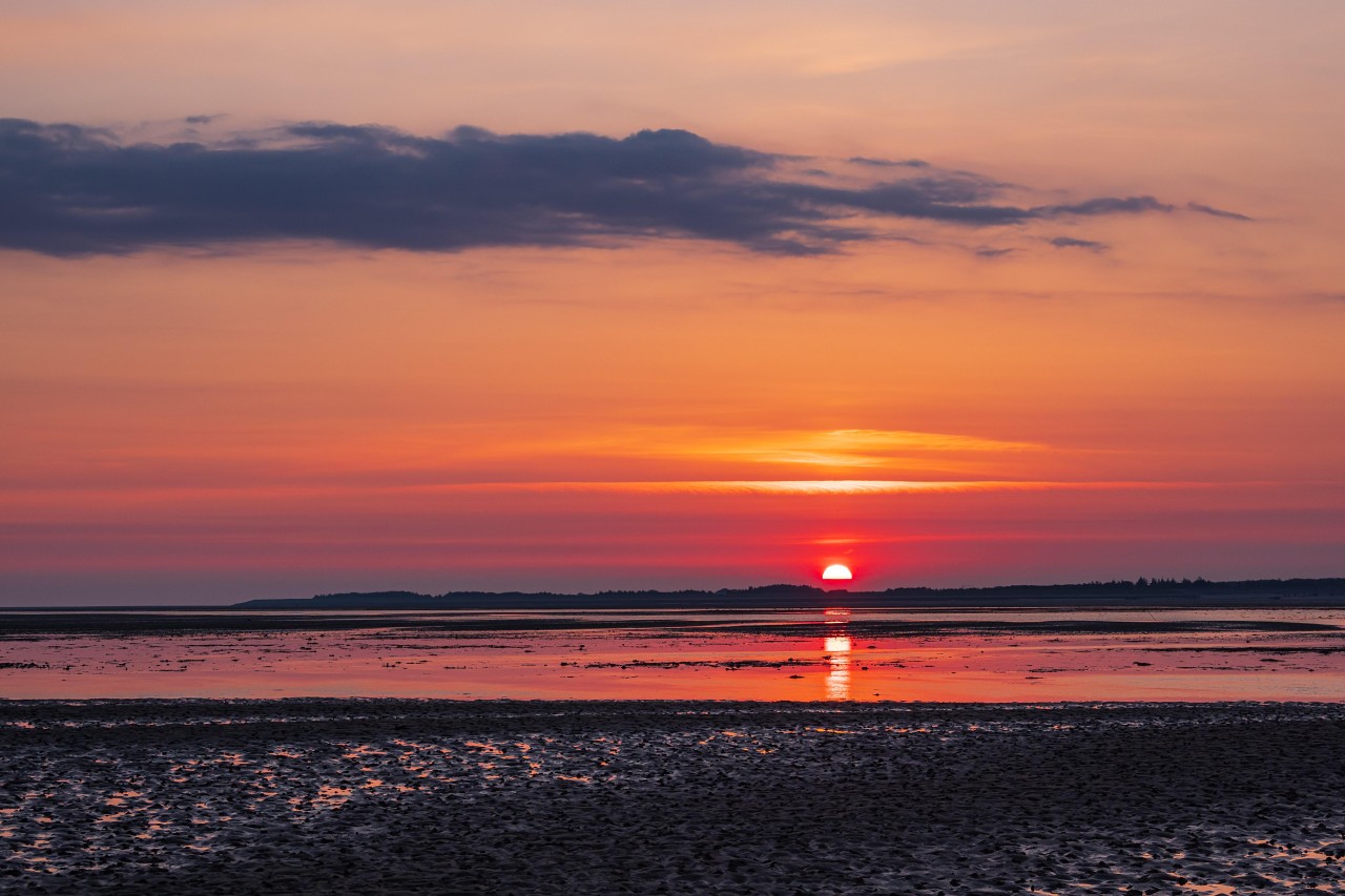 Fantastischer Sonnenaufgang auf der Nordsee-Insel Amrum.