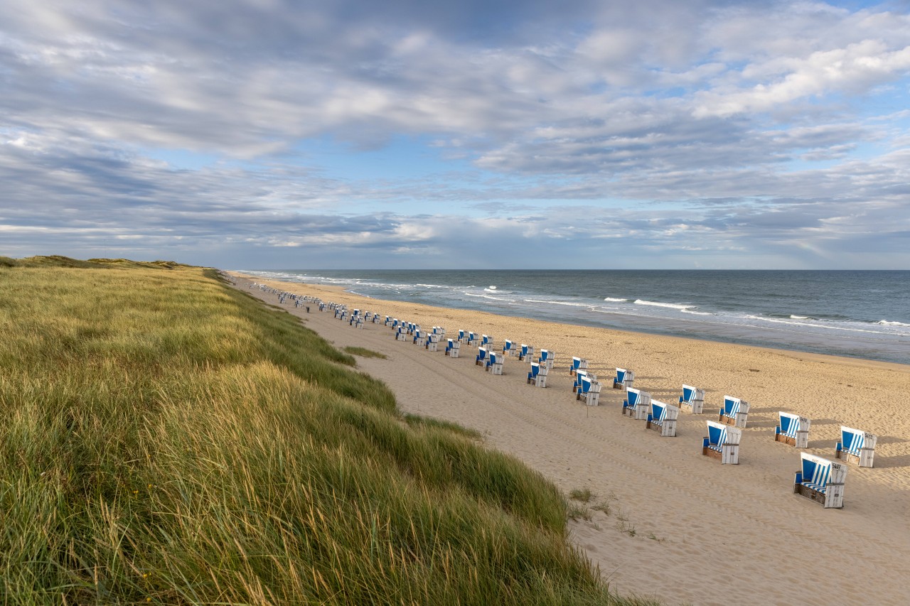 Feinster Nordsee-Strand. Leider sorgen unter anderem Schiffsunglücke und verlorene Container dafür, dass viel Müll ins Meer gelangt und angespült wird.