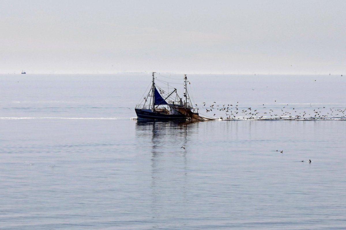 Nordsee.jpg