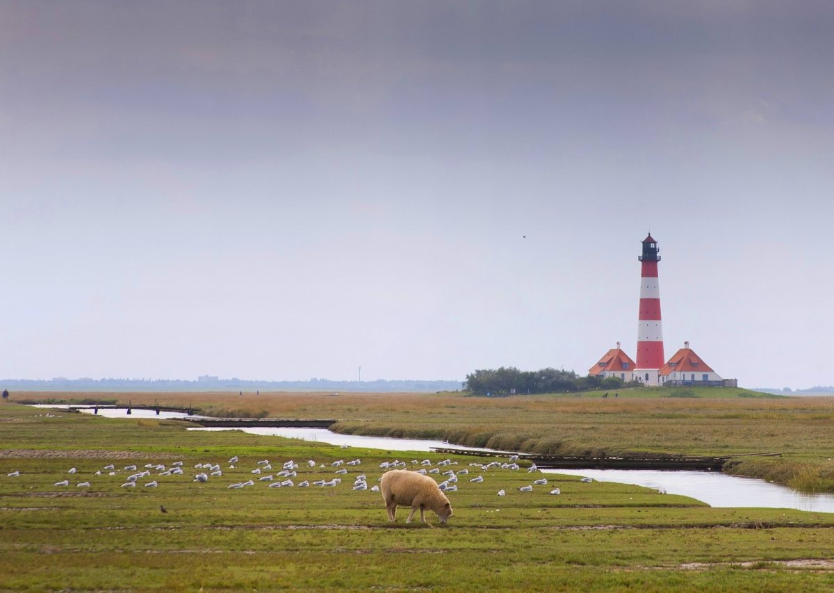 Nordsee.jpg