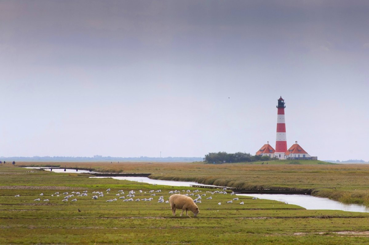 Nordsee.jpg