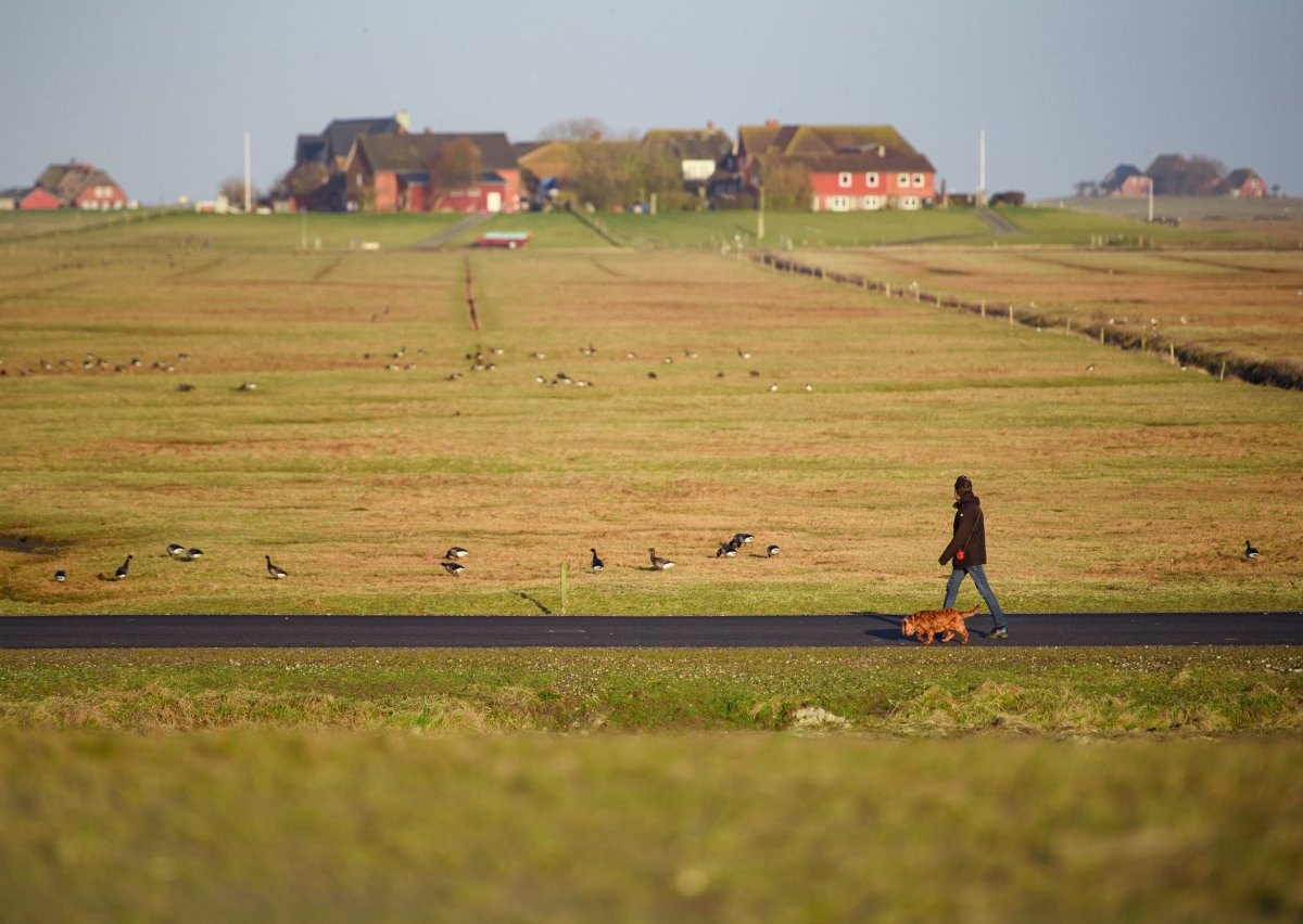 Nordsee.jpg