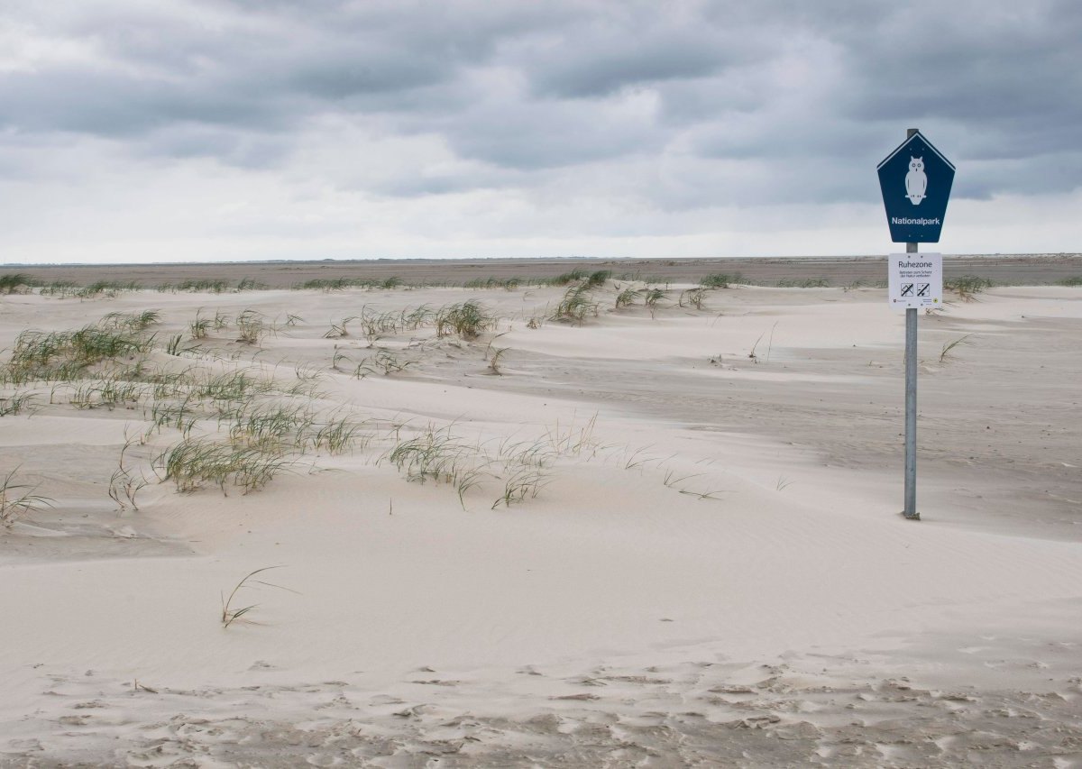 Nordsee Ammerland Aurich Cuxhaven Friesland Leer Wesermarsch Wittmund