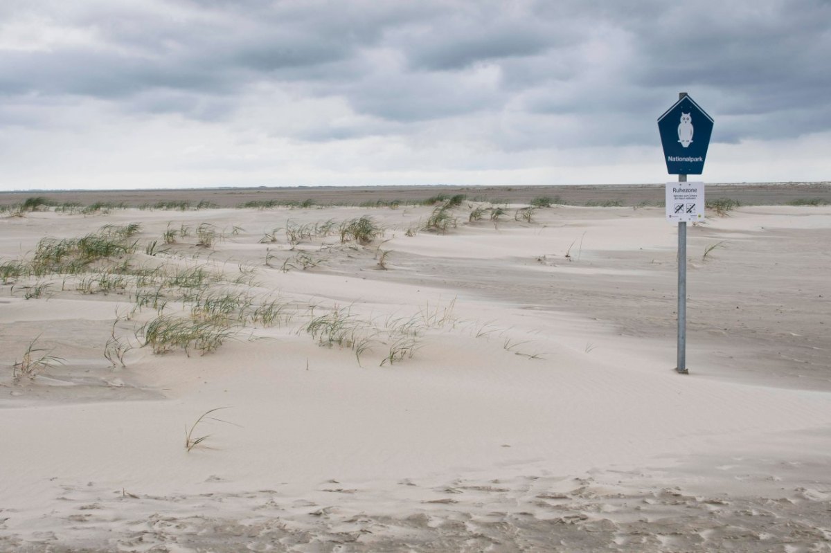 Nordsee Ammerland Aurich Cuxhaven Friesland Leer Wesermarsch Wittmund