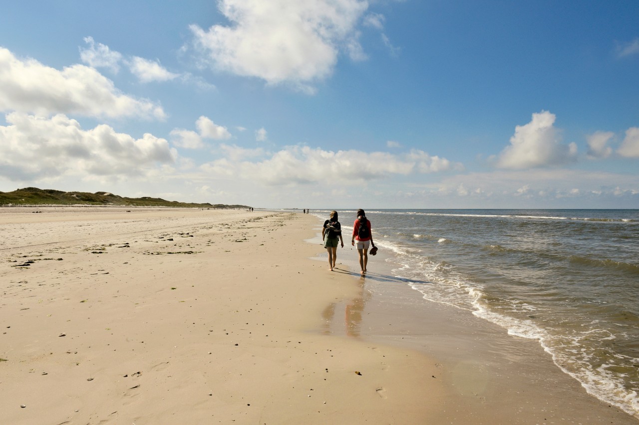 Die Nordspitze von Amrum