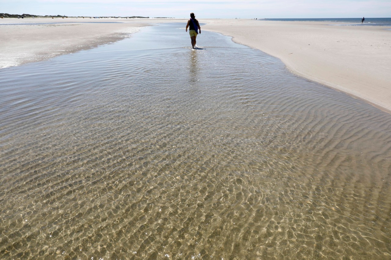 Eine Ehre für die Nordsee kommt aus Amerika.