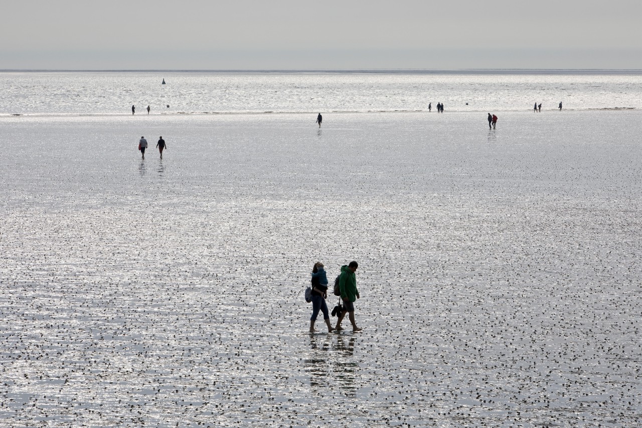 Der Sturm hat Müll an den Nordsee-Strand von Büsum geschwemmt (Symbolbild). 