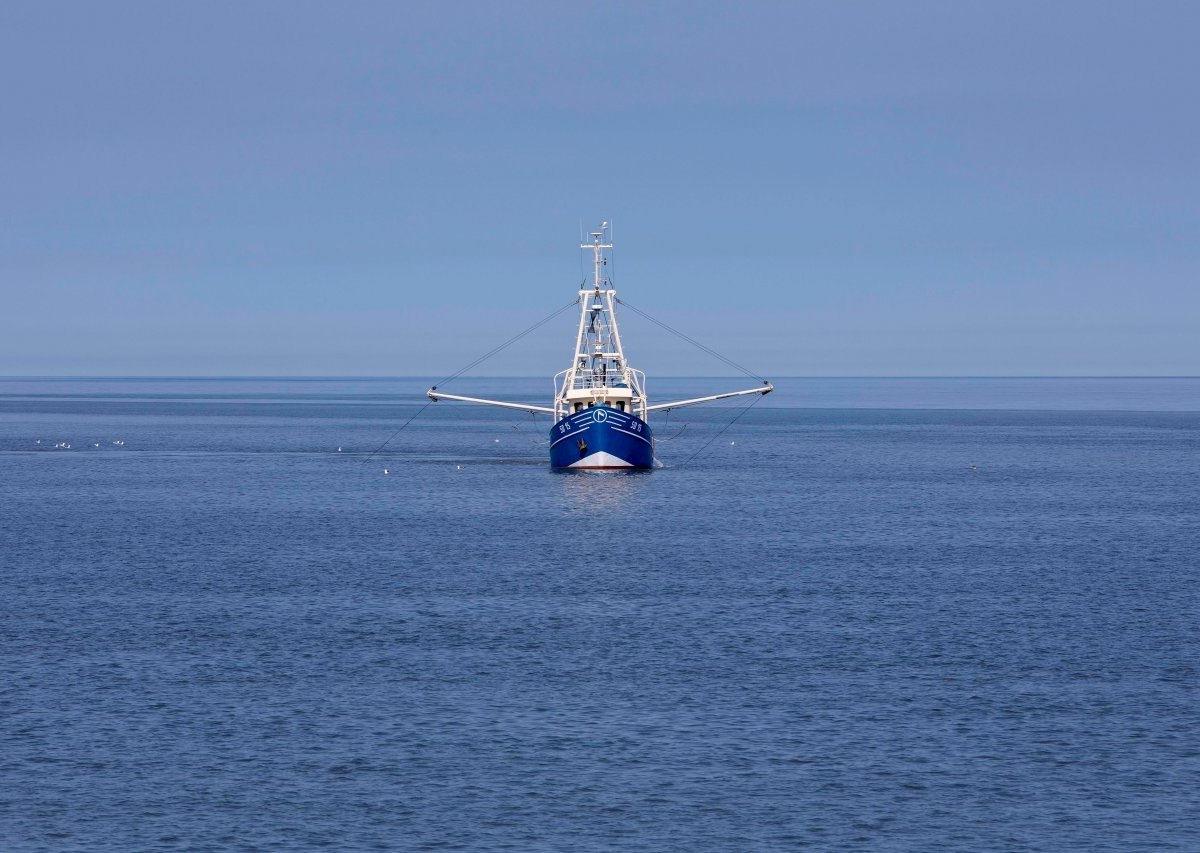 Nordsee Büsum Hafen Kutter gesunken Feuerwehr