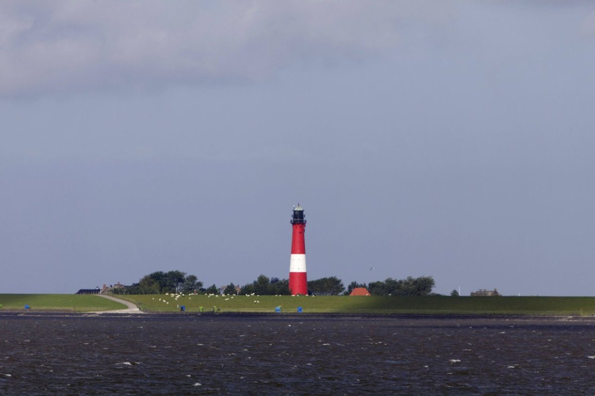 Nordsee Pellworm.jpg