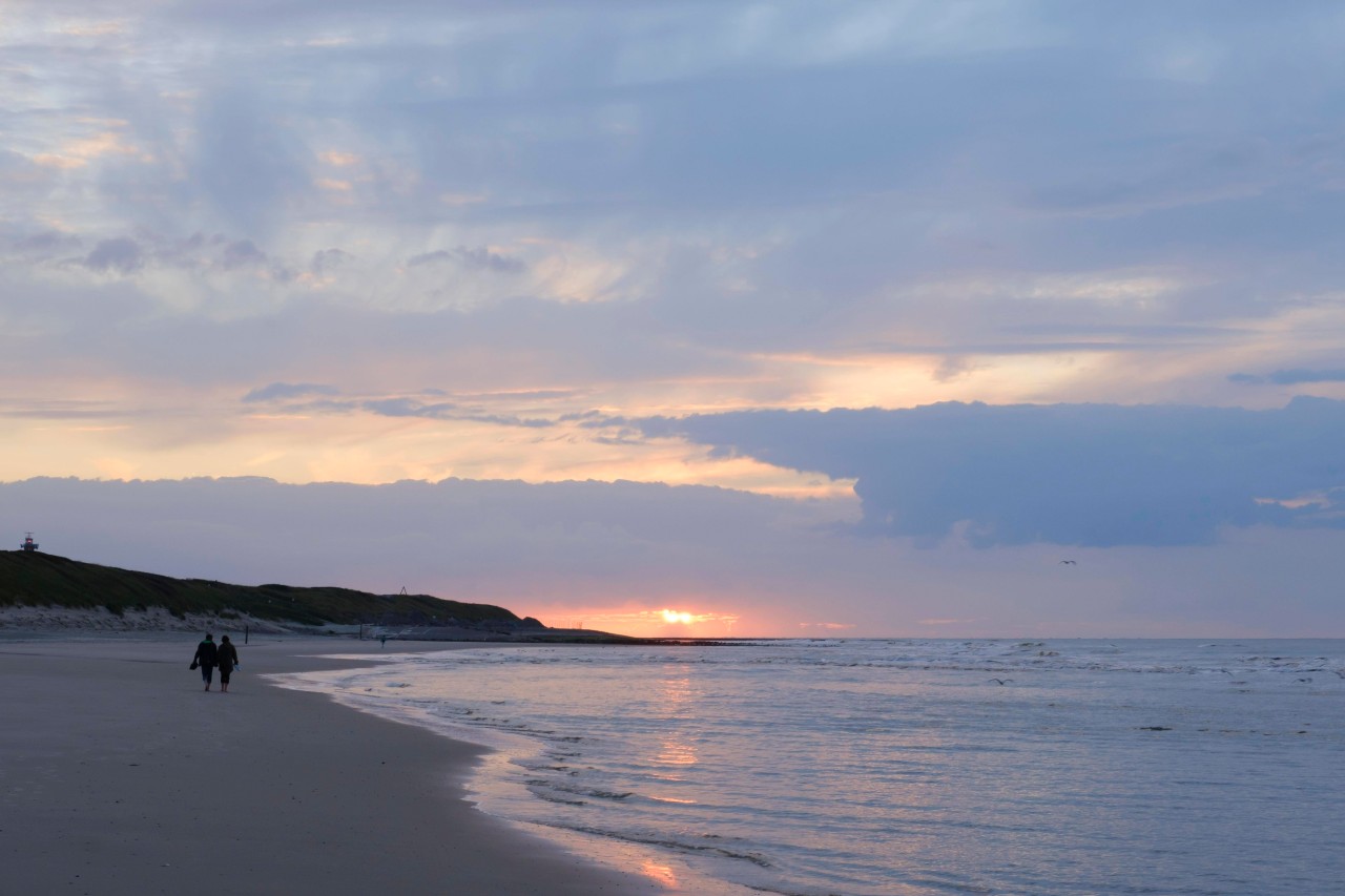 Naturschützer haben einen Sensations-Fund auf Wangerooge an der Nordsee gemacht.