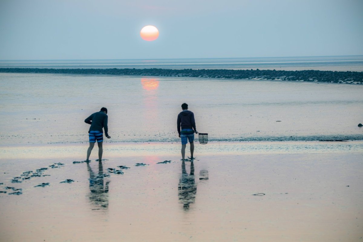 Nordsee Strand.jpg