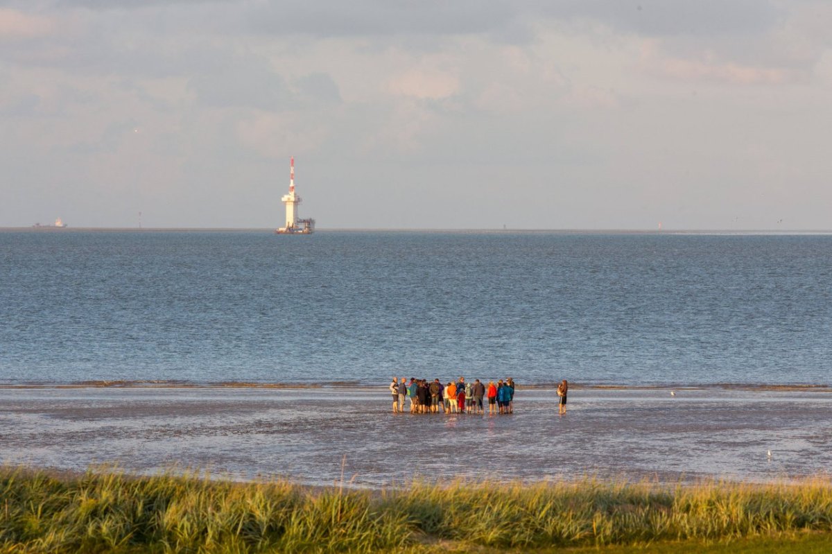 Nordsee Wangerland Einheimische.jpg