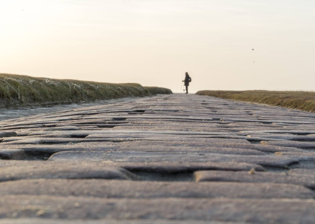 Nordsee Westerhever.jpg