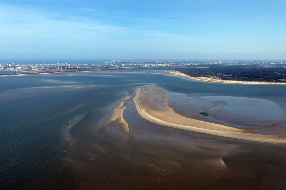 Nordsee von oben.jpg