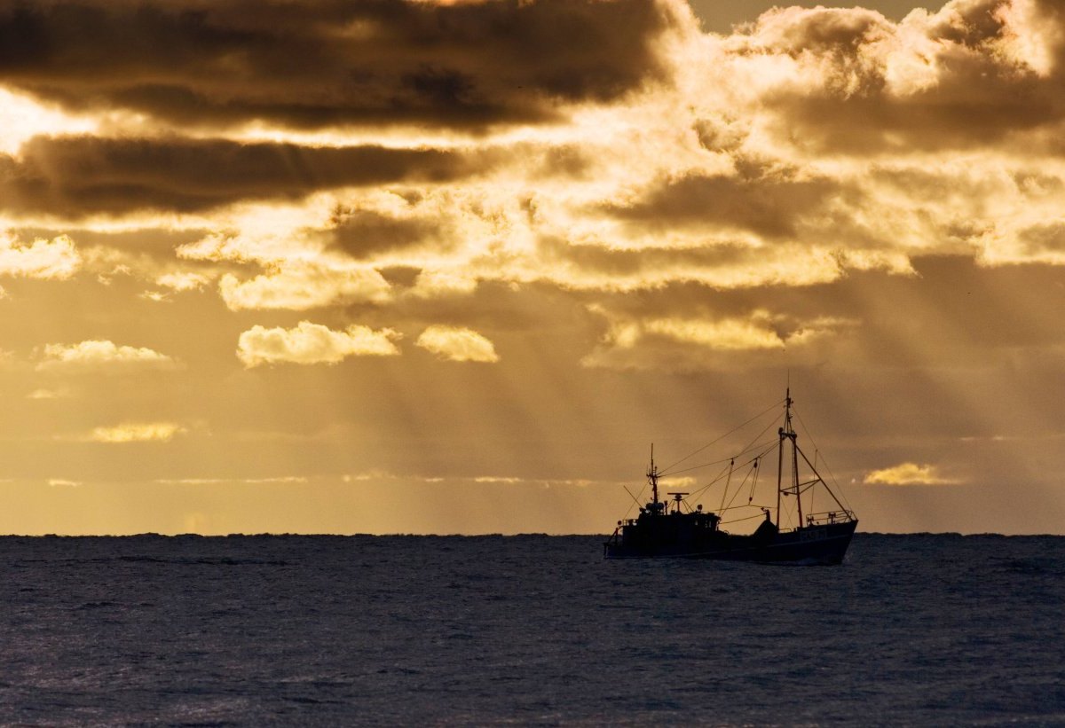 Ostsee Fischkutter.jpg