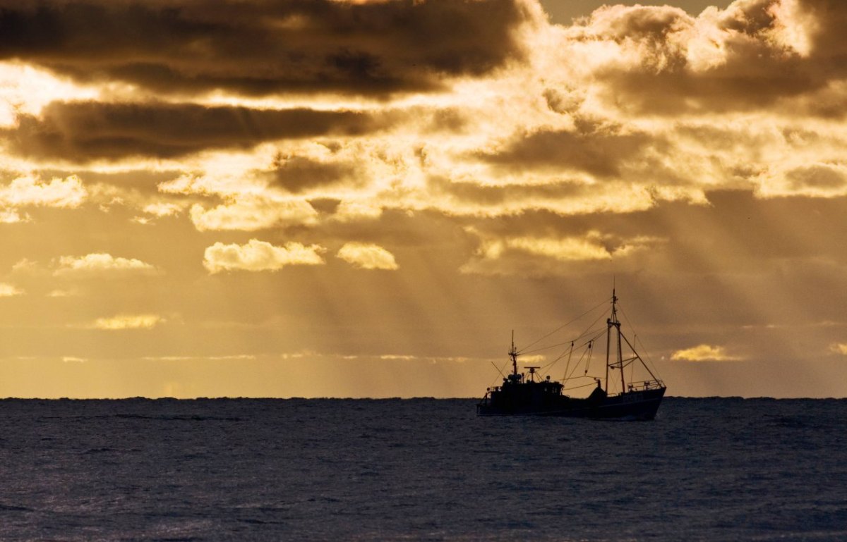 Ostsee Fischkutter.jpg