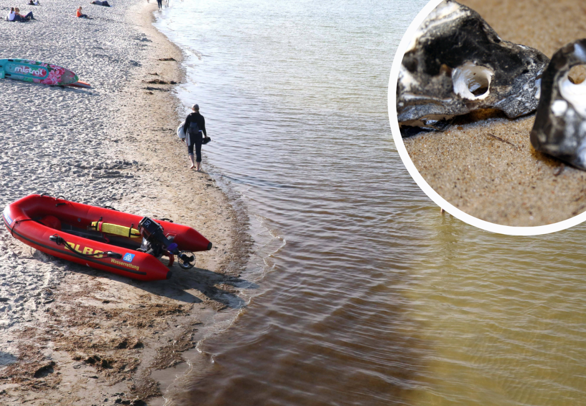 Ostsee Fund Strand Prerow Hühnergott Facebook Stein