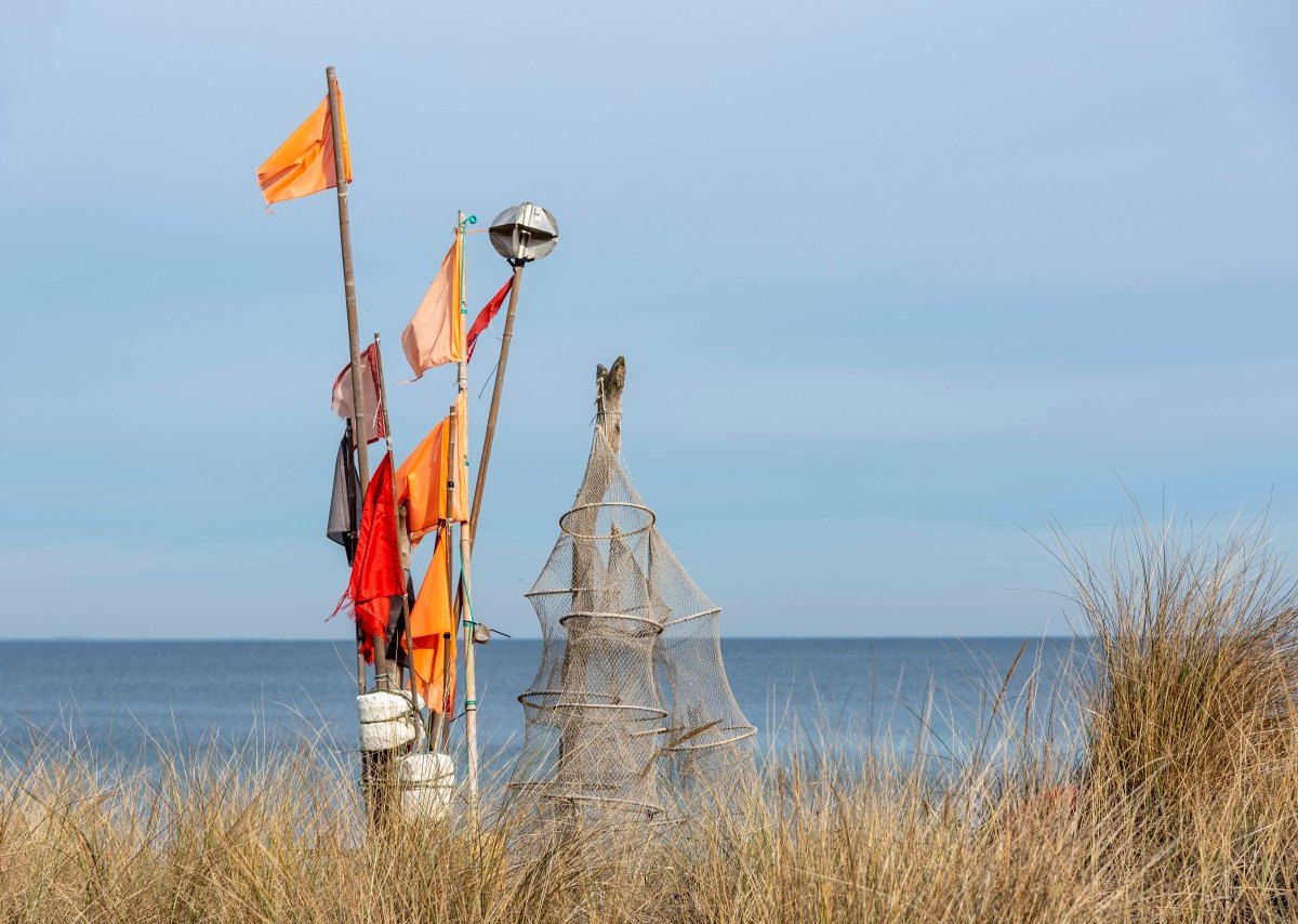Ostsee Nordsee Deutsche Allianz Meeresforschung Greenpeace Bund Fischfang Netz Verbot BUND