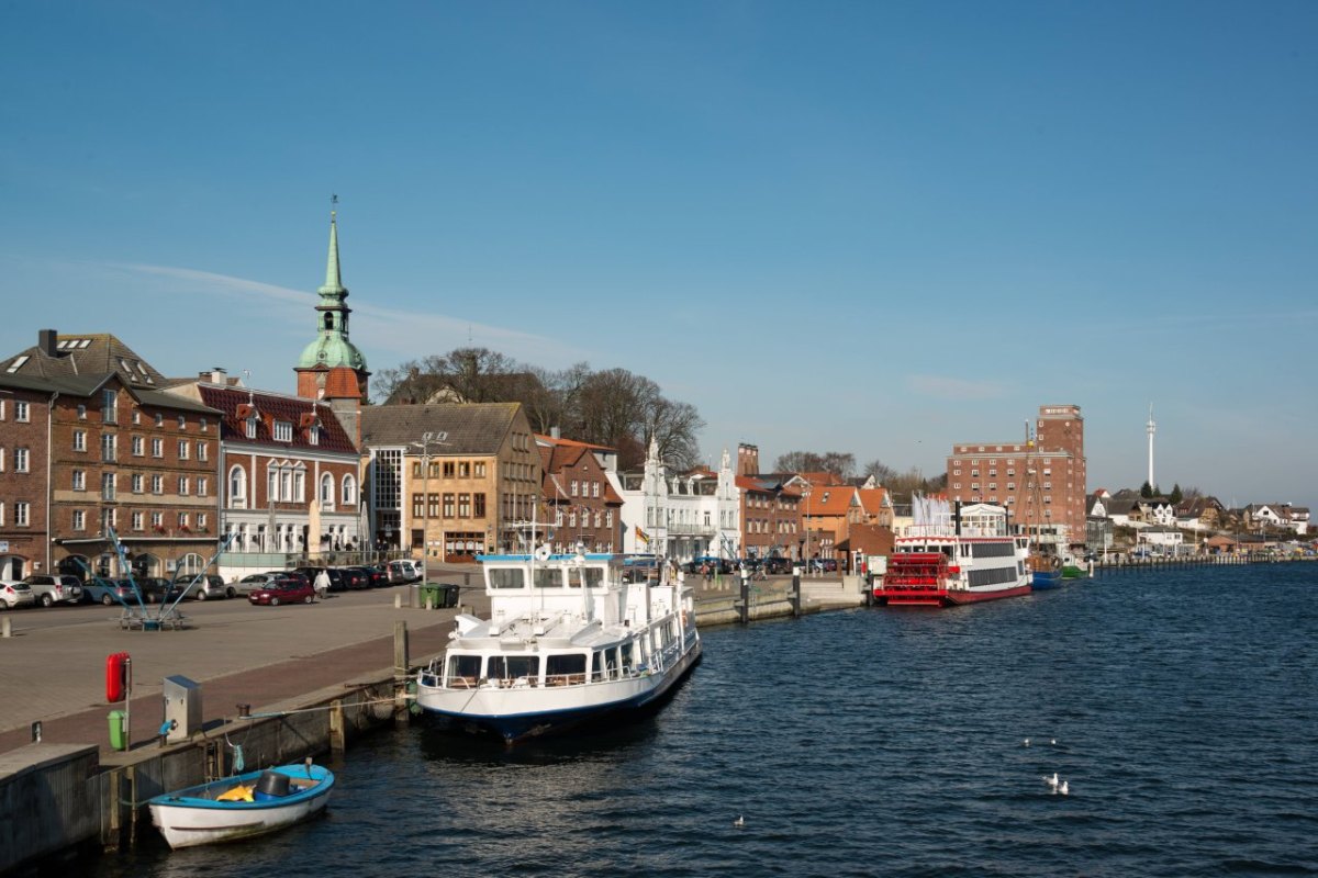 Ostsee Nordsee Fisch der Jahres Hering Hansestadt