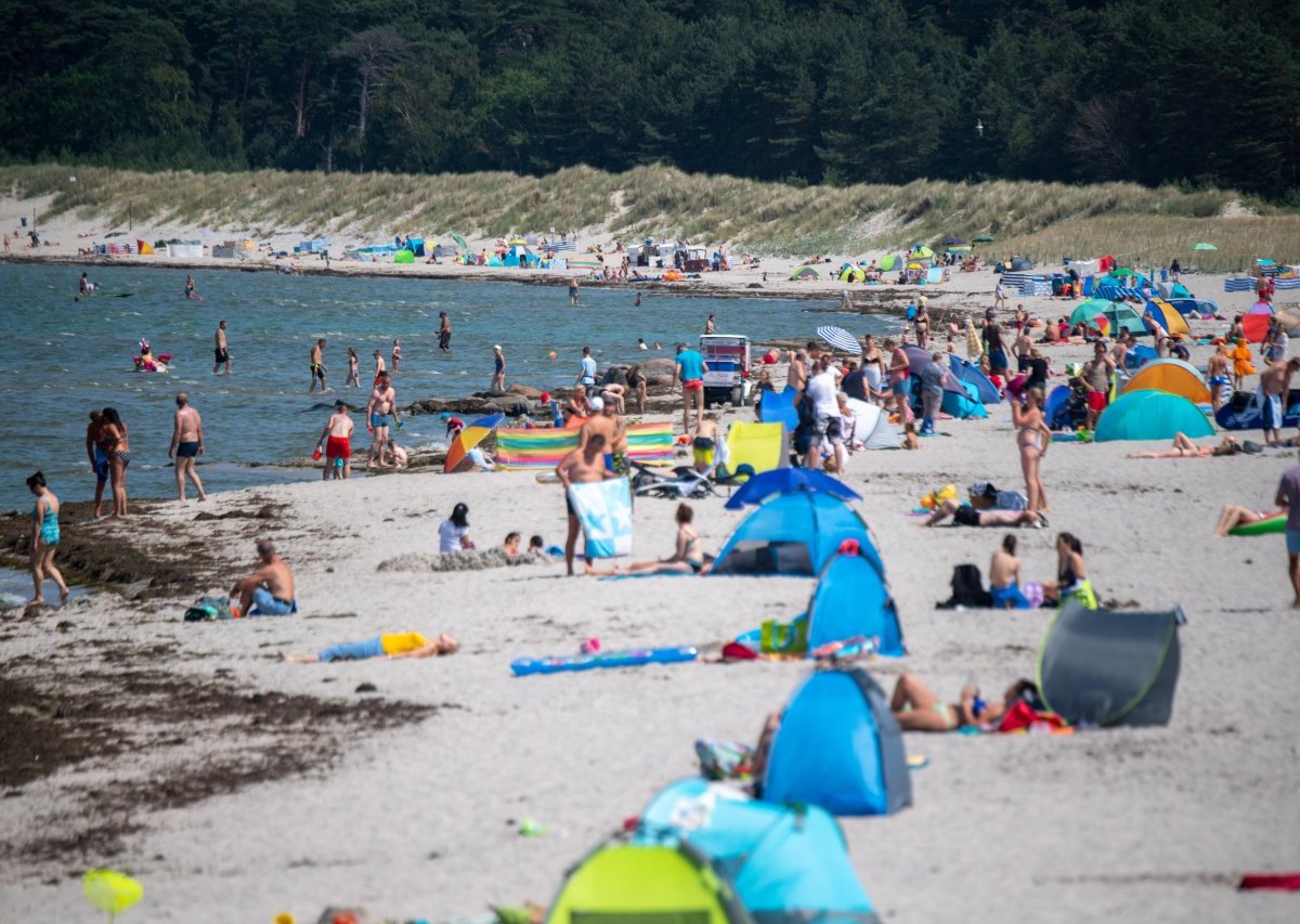 Ostsee Rügen Binz Prora Müll Strand Reinigen Aufräumen Warnemünde Reinigung