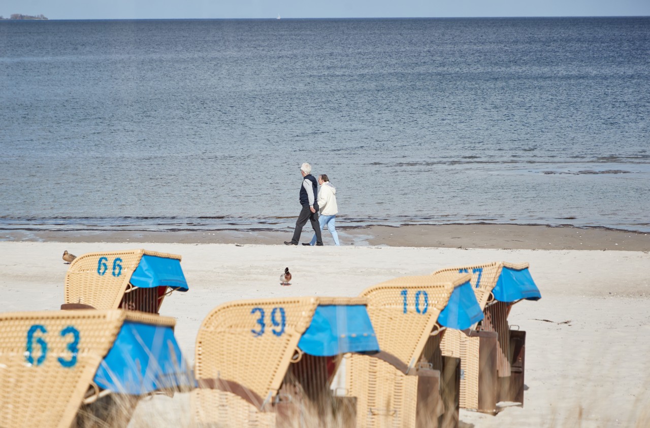 Strandkörbe in Scharbeutz.